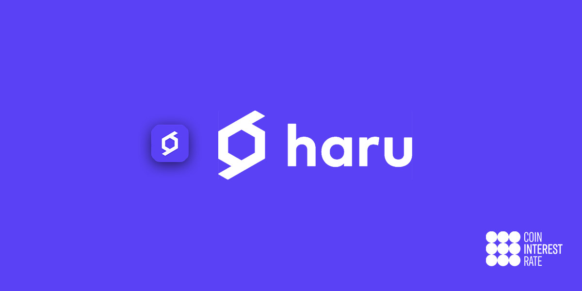 Exclusive Q&A with Haru Invest (safety, security and upcoming improvements)