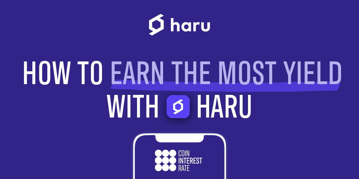 How to earn the most yield/interest with Haru Invest